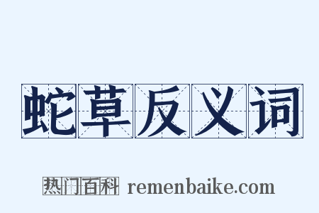 蛇草反义词是什么意思的图片